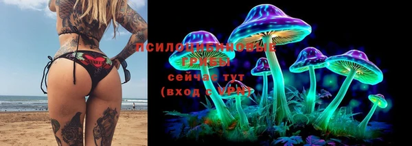 гидропоника Балабаново