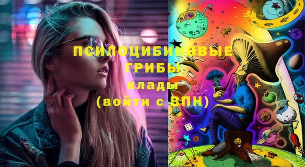 гидропоника Балабаново