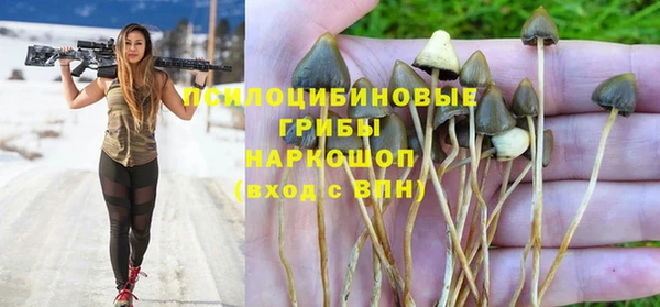 гидропоника Балабаново