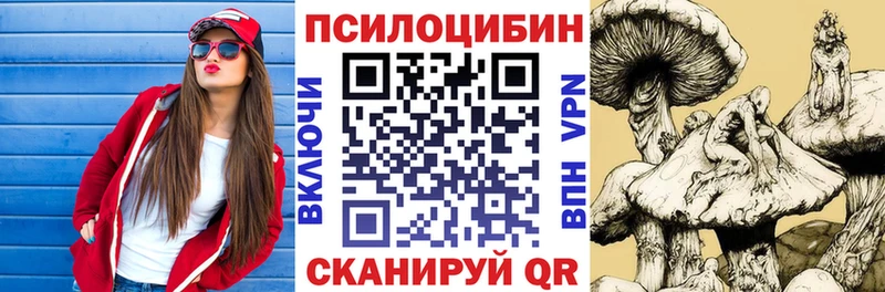 Псилоцибиновые грибы мицелий  Ленинск 
